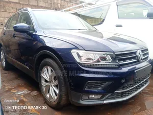 Volkswagen Tiguan 2017 Gray