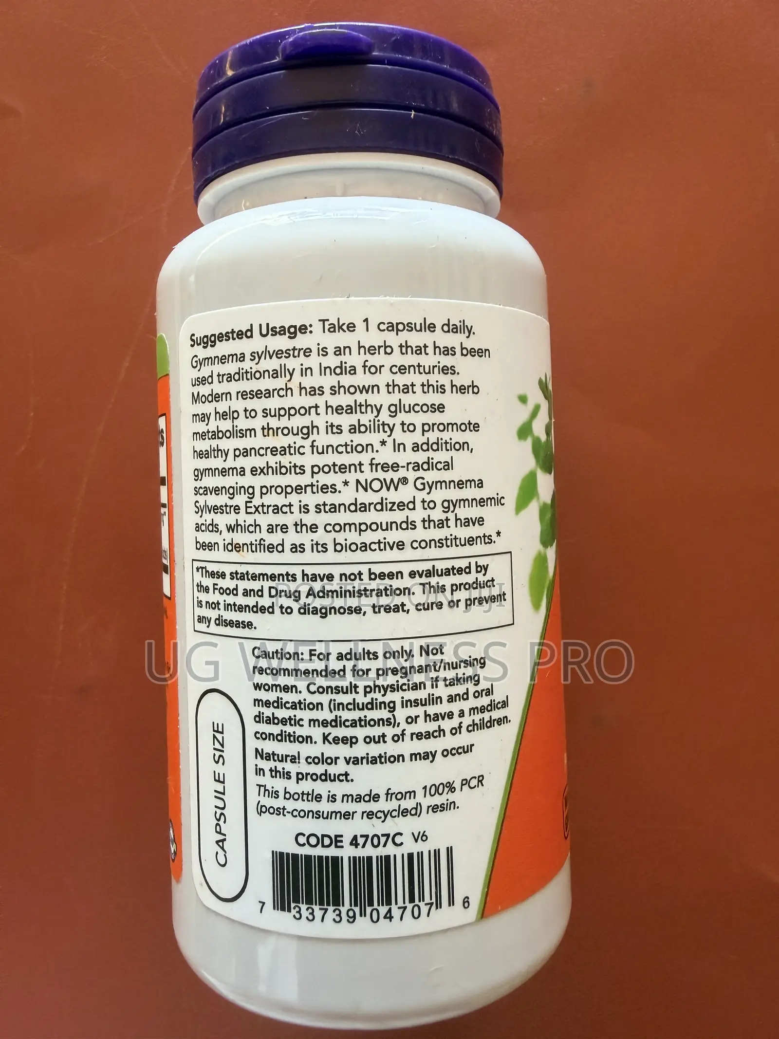 Now Foods Gymnema Sylvestre Extract, 90 Veg Caps (400 Mg Per Capsule)
