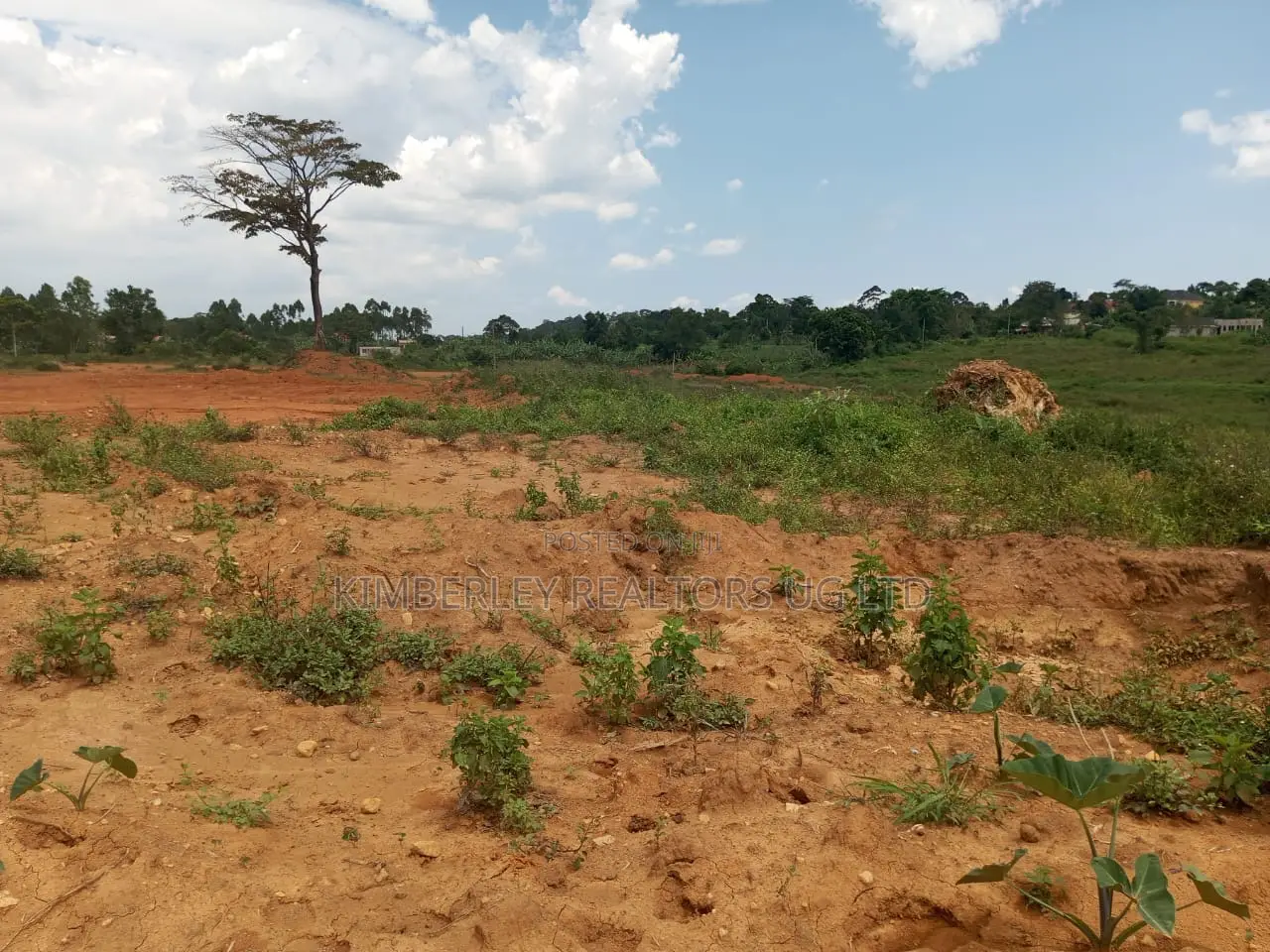 Residential Plot for Sale – Kira