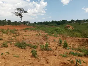 Residential Plot for Sale – Kira