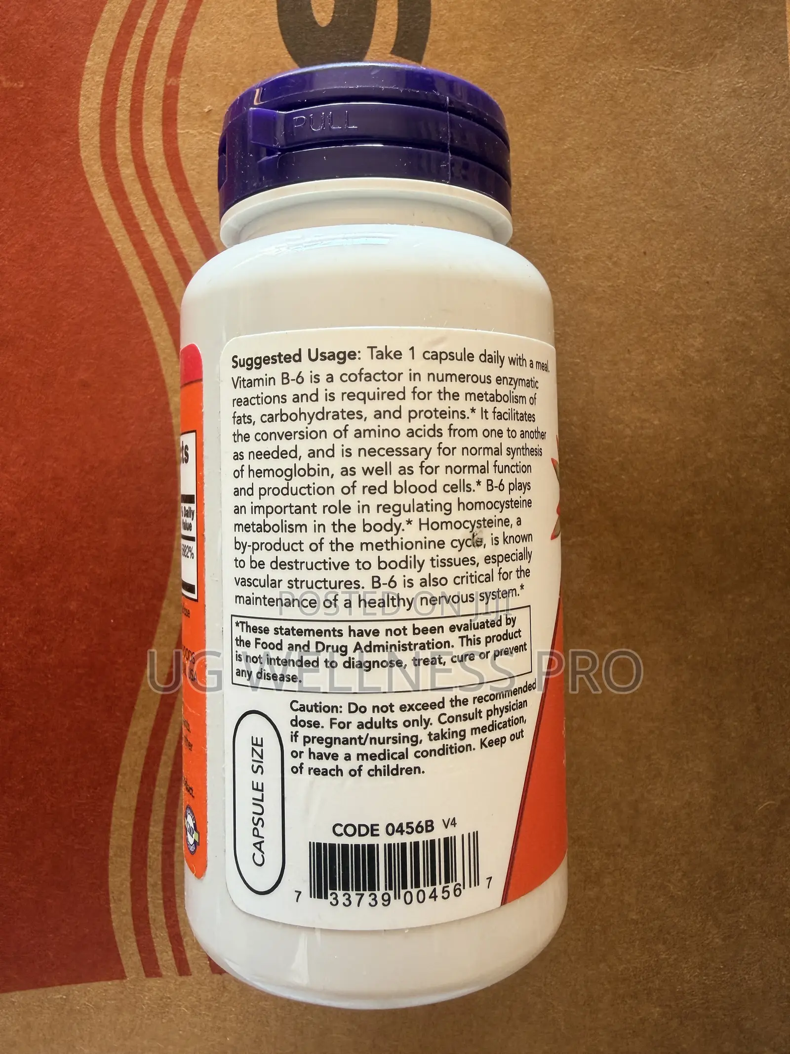 Now Foods B6 100 Mg for Nervous System Support