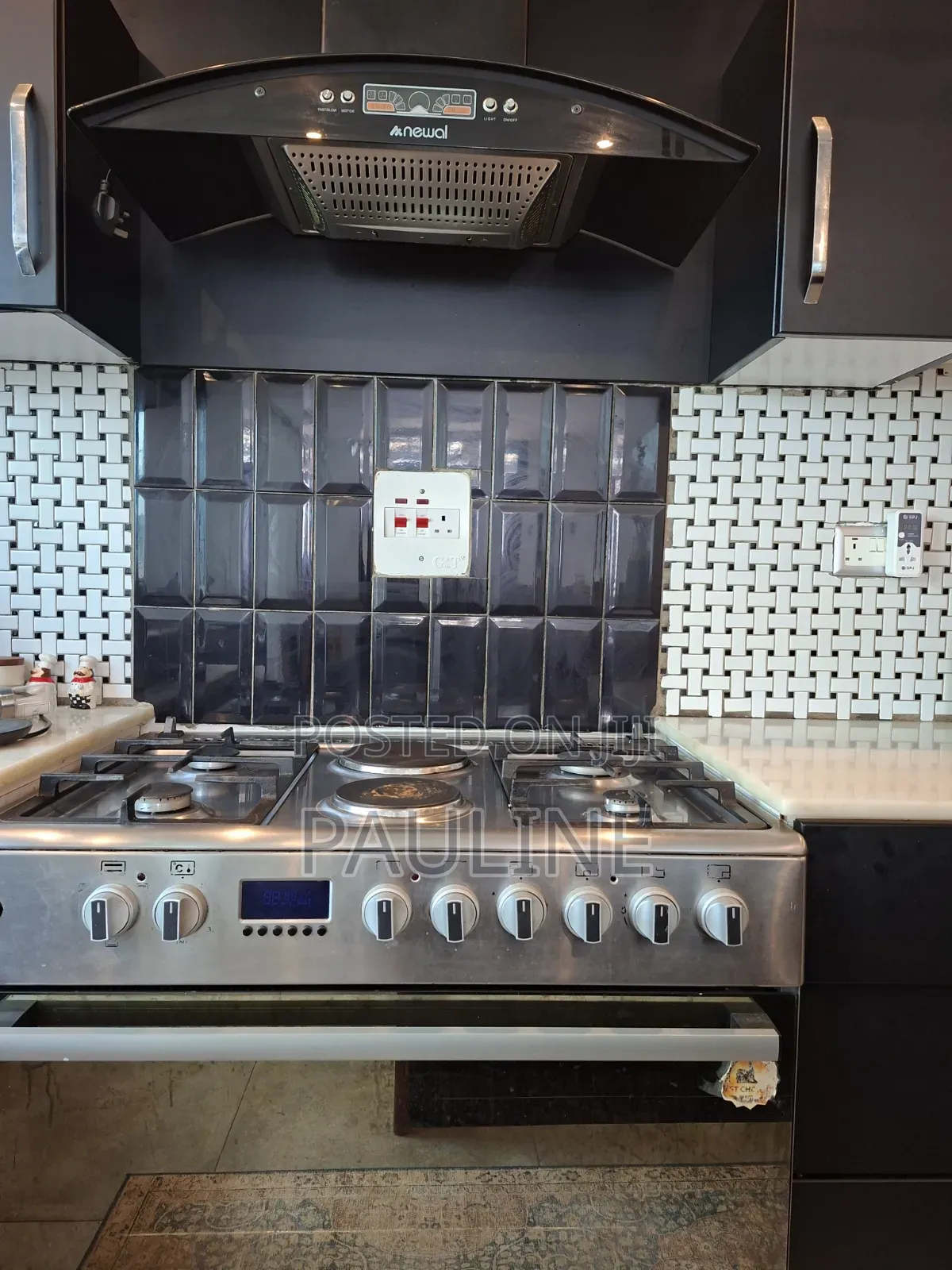 Blueflame Diamond Cooker and Newal Smoke Extractor