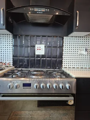 Blueflame Diamond Cooker and Newal Smoke Extractor
