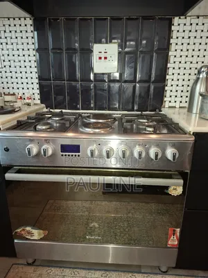 Blueflame Diamond Cooker and Newal Smoke Extractor