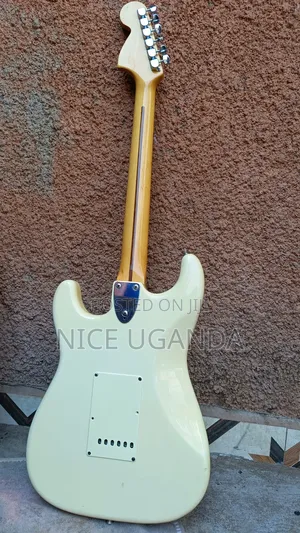 Fernandes Revival