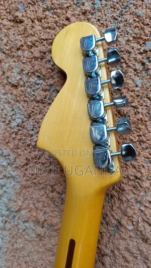 Fernandes Revival