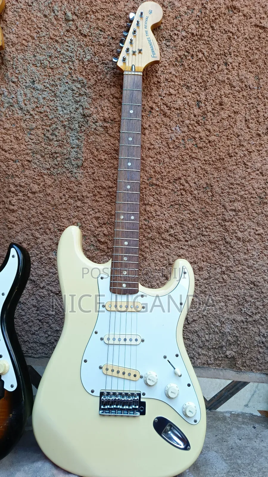 Fernandes Revival