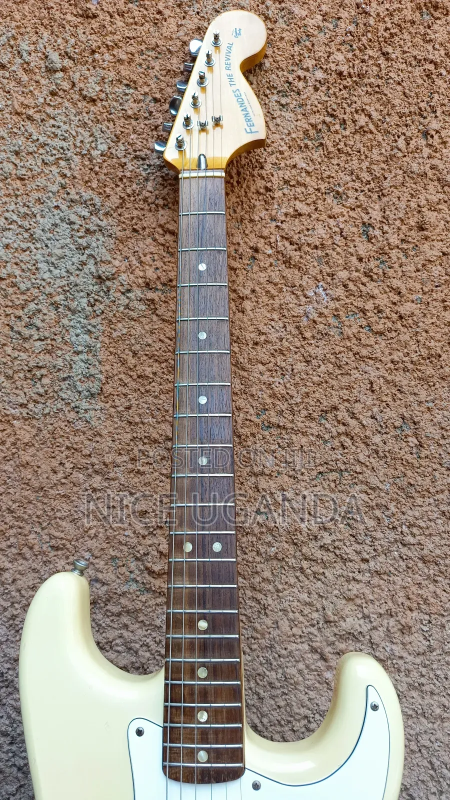 Fernandes Revival
