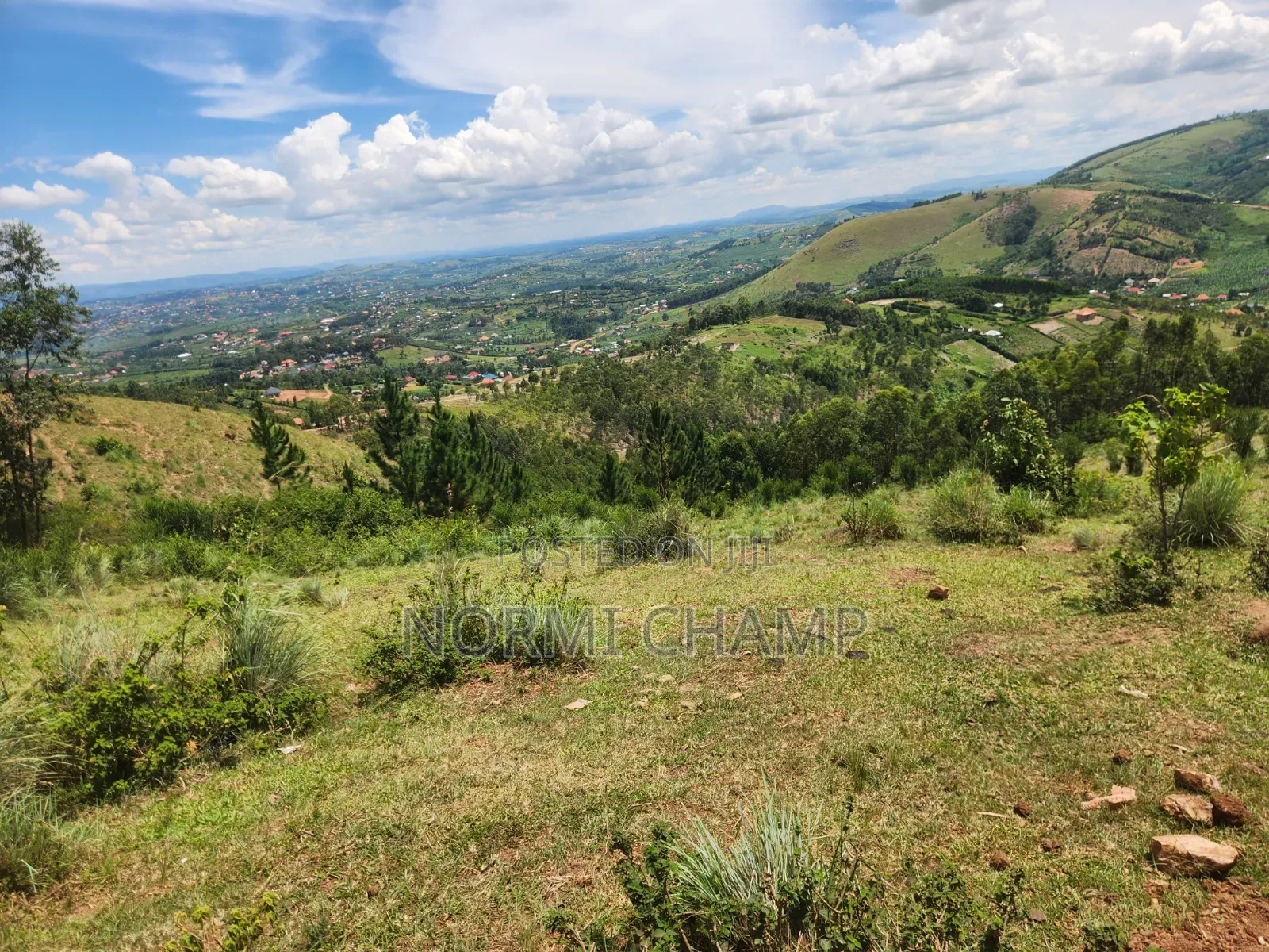 Plots for Sale in Katojo Mbarara City