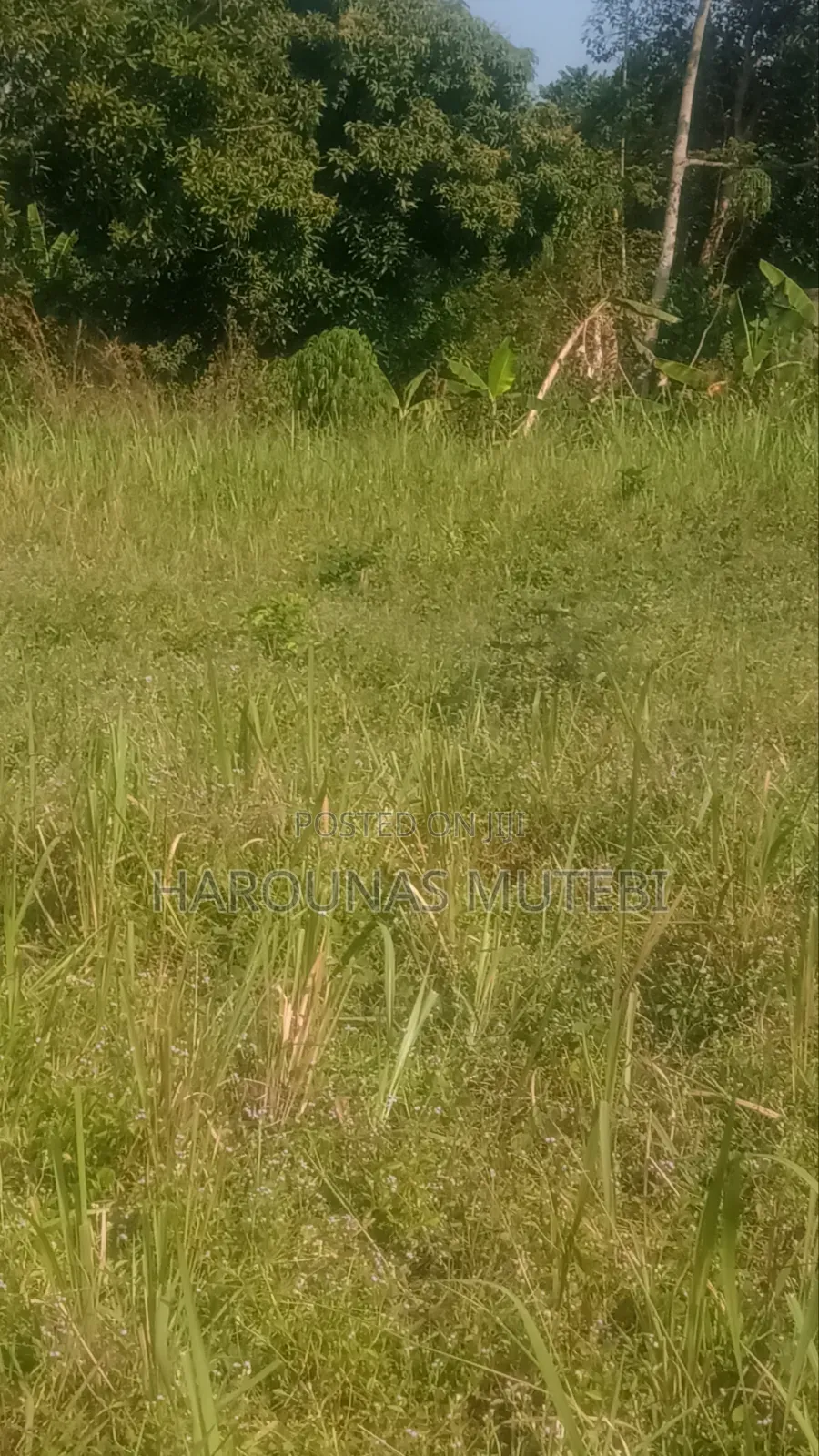Land Title 100/100