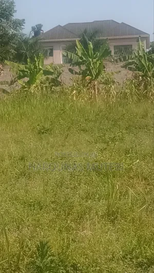 Land Title 100/100