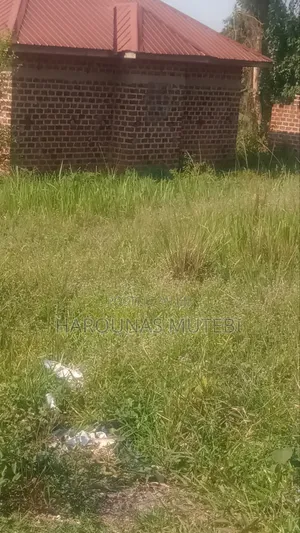 Land Title 100/100