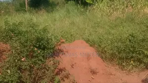 Land Title 100/100