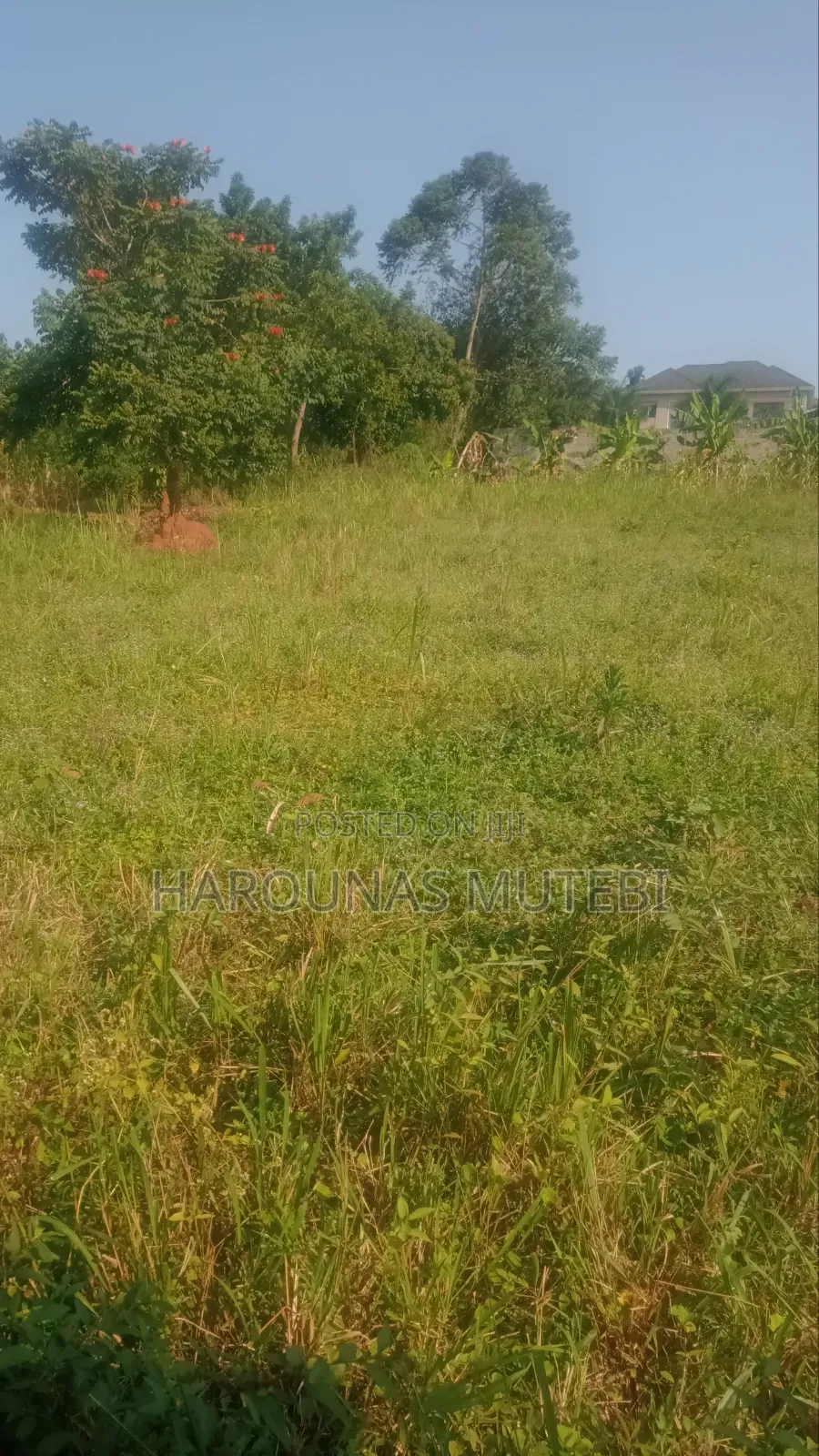 Land Title 100/100