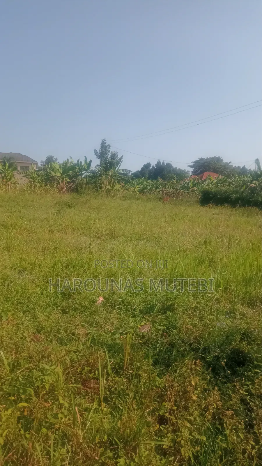 Land Title 100/100