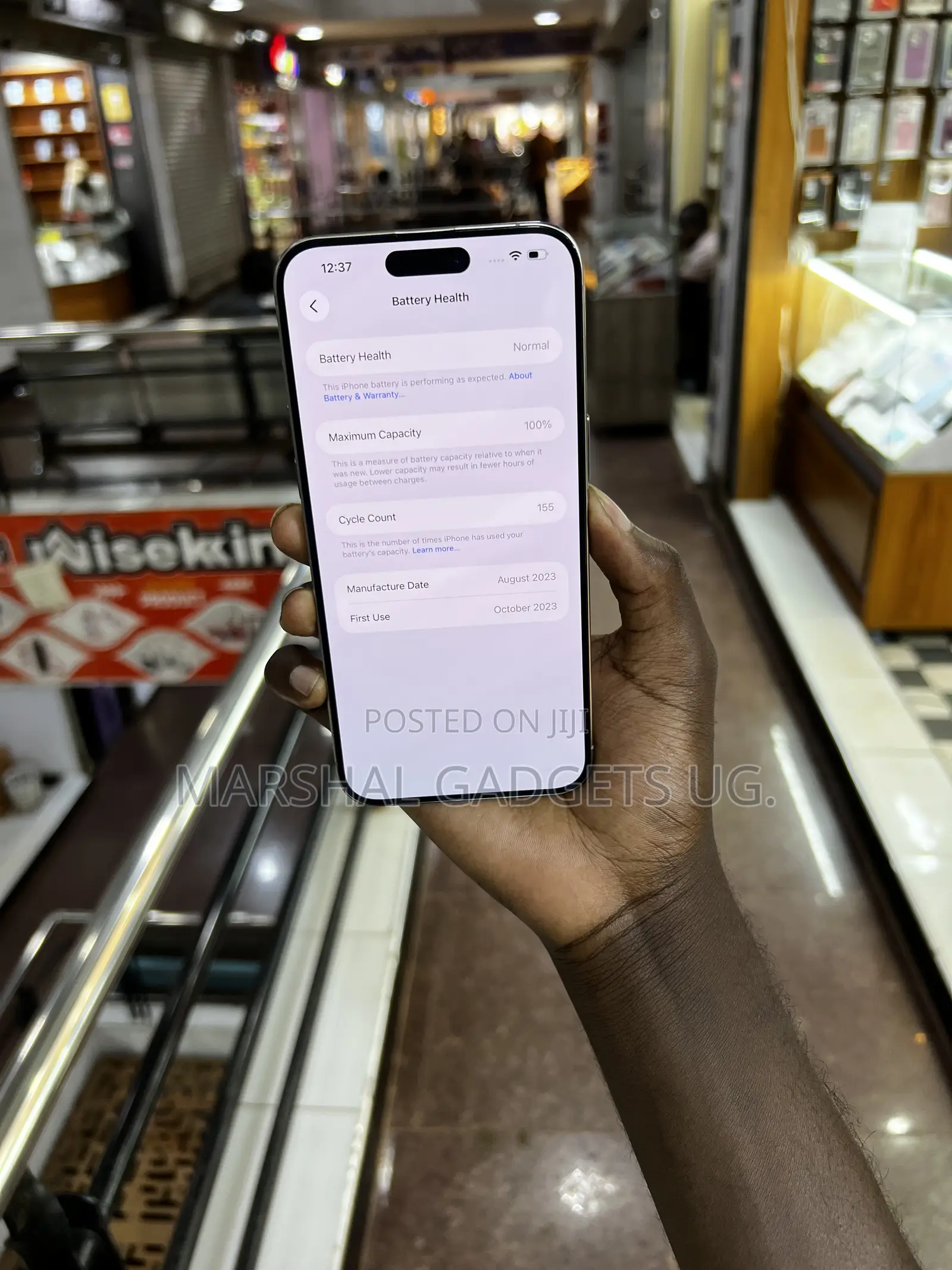 Apple iPhone 15 Pro Max 256 GB Gray