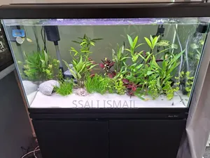Crystal Clear Water,Pure White Gravel Aquarium