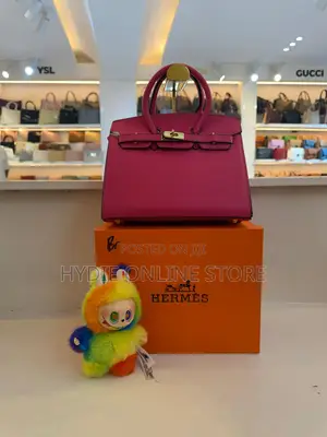 Classic Hermes Ladies Bags