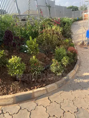 Compound Designing
