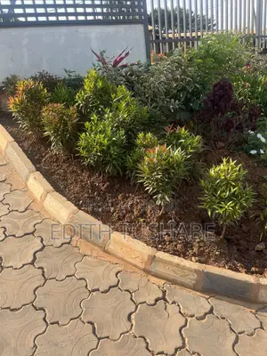 Compound Designing