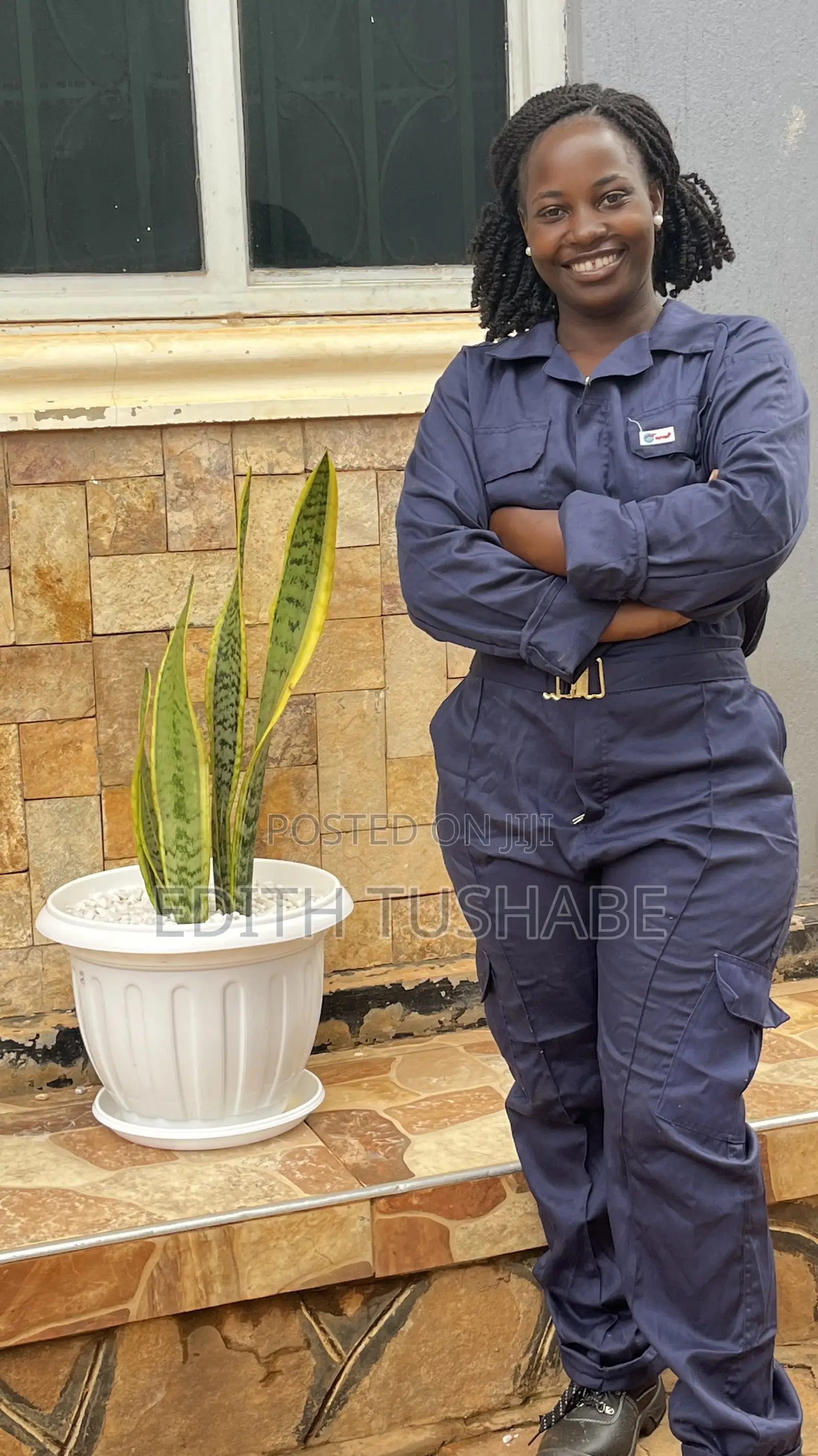 Indoor and Outdoor Plants