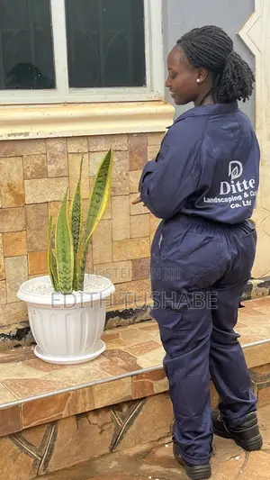 Indoor and Outdoor Plants