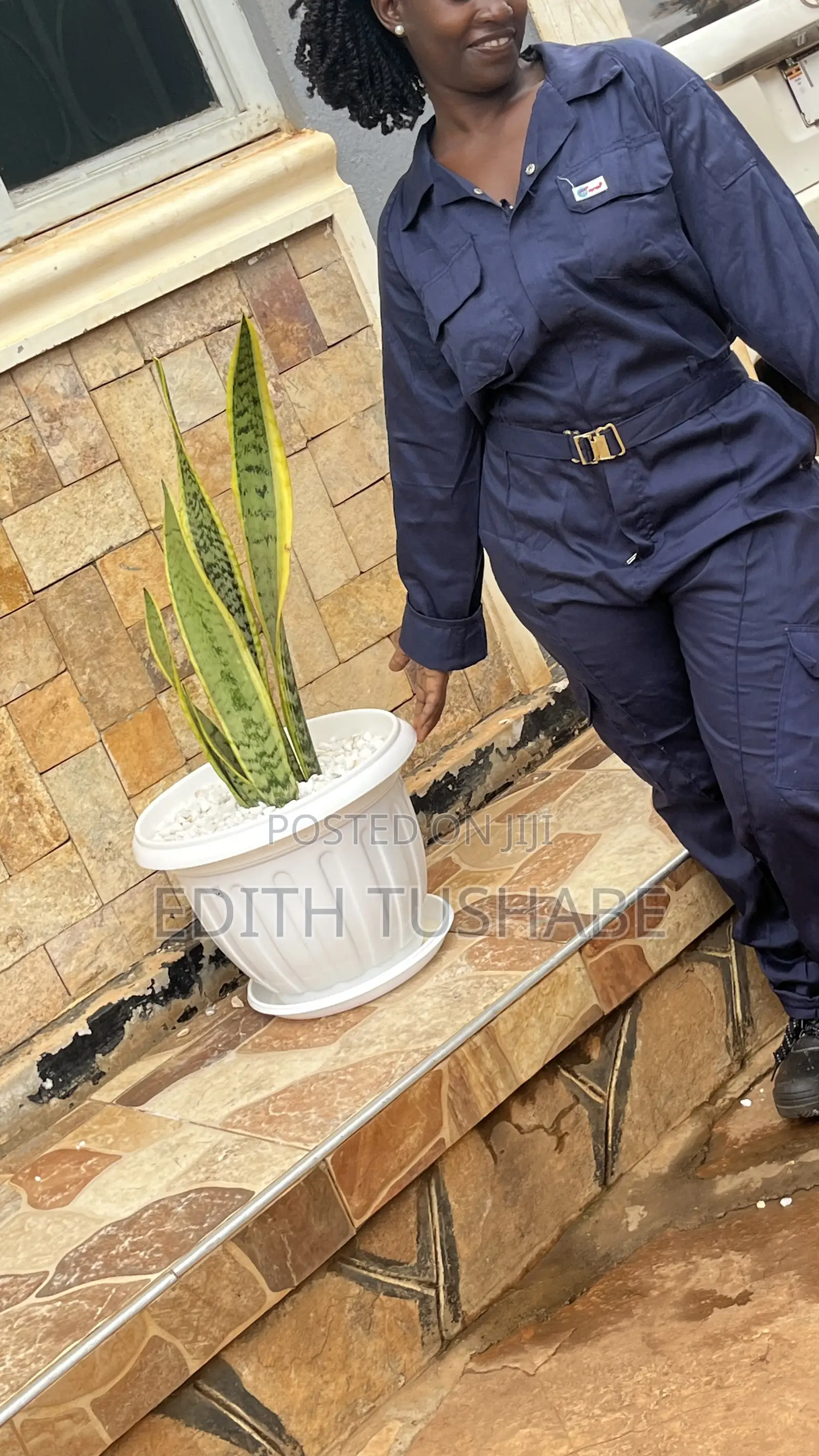 Indoor and Outdoor Plants