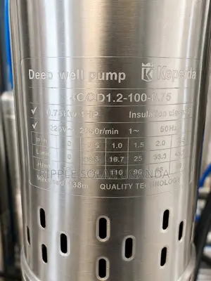 Deep Well Borehole Submersible Water Pump 750w 175m
