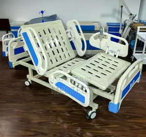 Icu Electric Bed (3 Function)