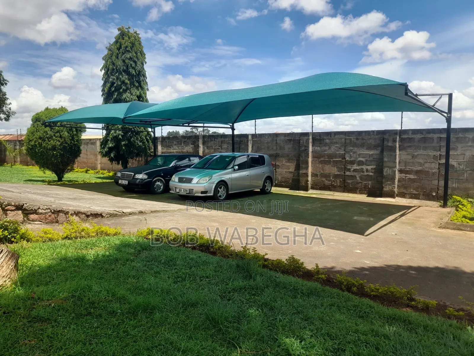 Carpots and Tents
