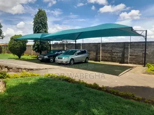 Carpots and Tents