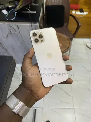 Apple iPhone 12 Pro Max 256 GB Gold