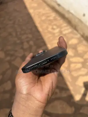 Apple iPhone 16 Pro Max 256 GB Gray
