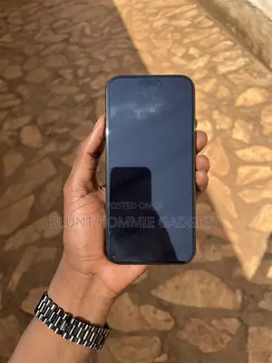 Apple iPhone 16 Pro Max 256 GB Gray