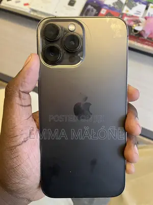 Apple iPhone 13 Pro Max 256 GB Black