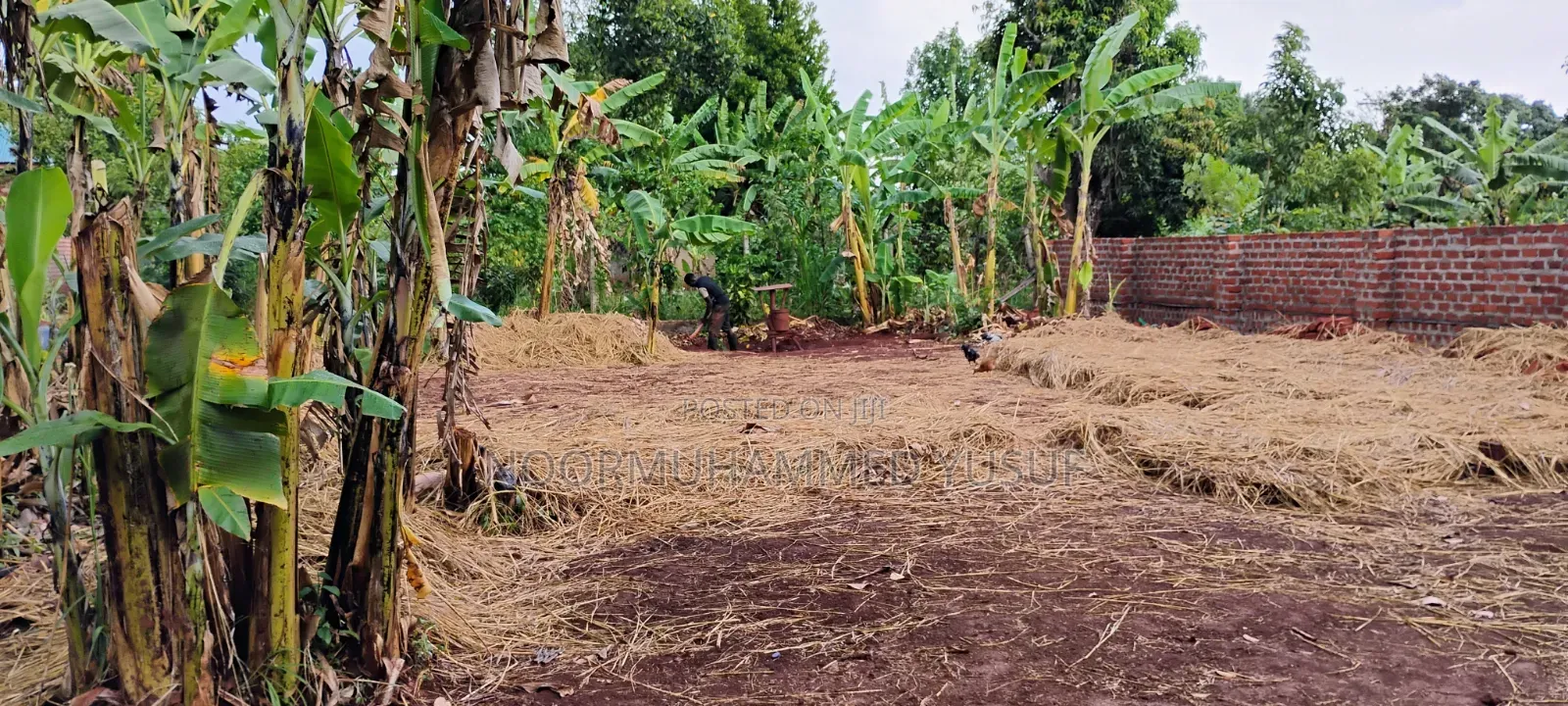 Plot for Sale in Tongolo 3 Acres