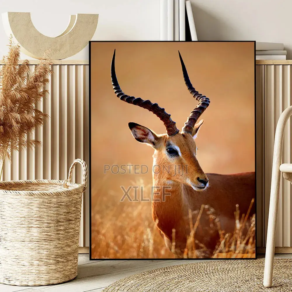 Wildlife Wall Art Pieces — For Your Home, Airbnb, Hotel