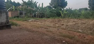 Plot for Sale 60 X 30 Feet in Sokolo Kasanje Entebbe Municipal
