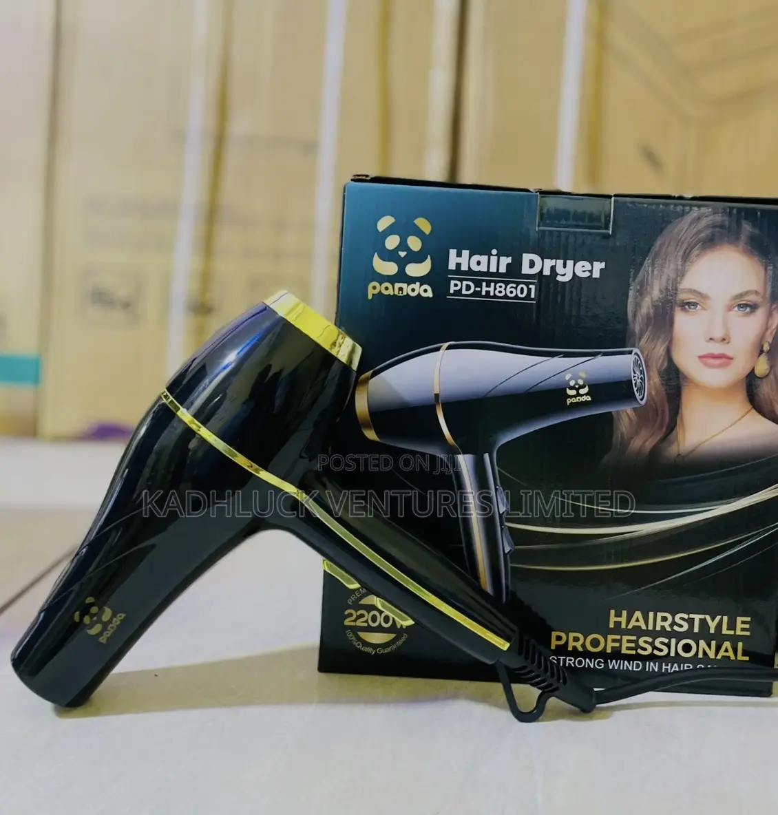 Hair Dryer -pd H8601