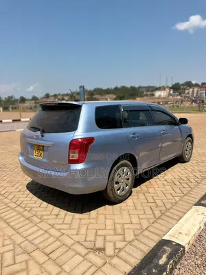 Toyota Corolla Fielder 2009 Blue