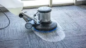 Carpet Rug Deep Cleaning Services – Fresh, Clean Floors!