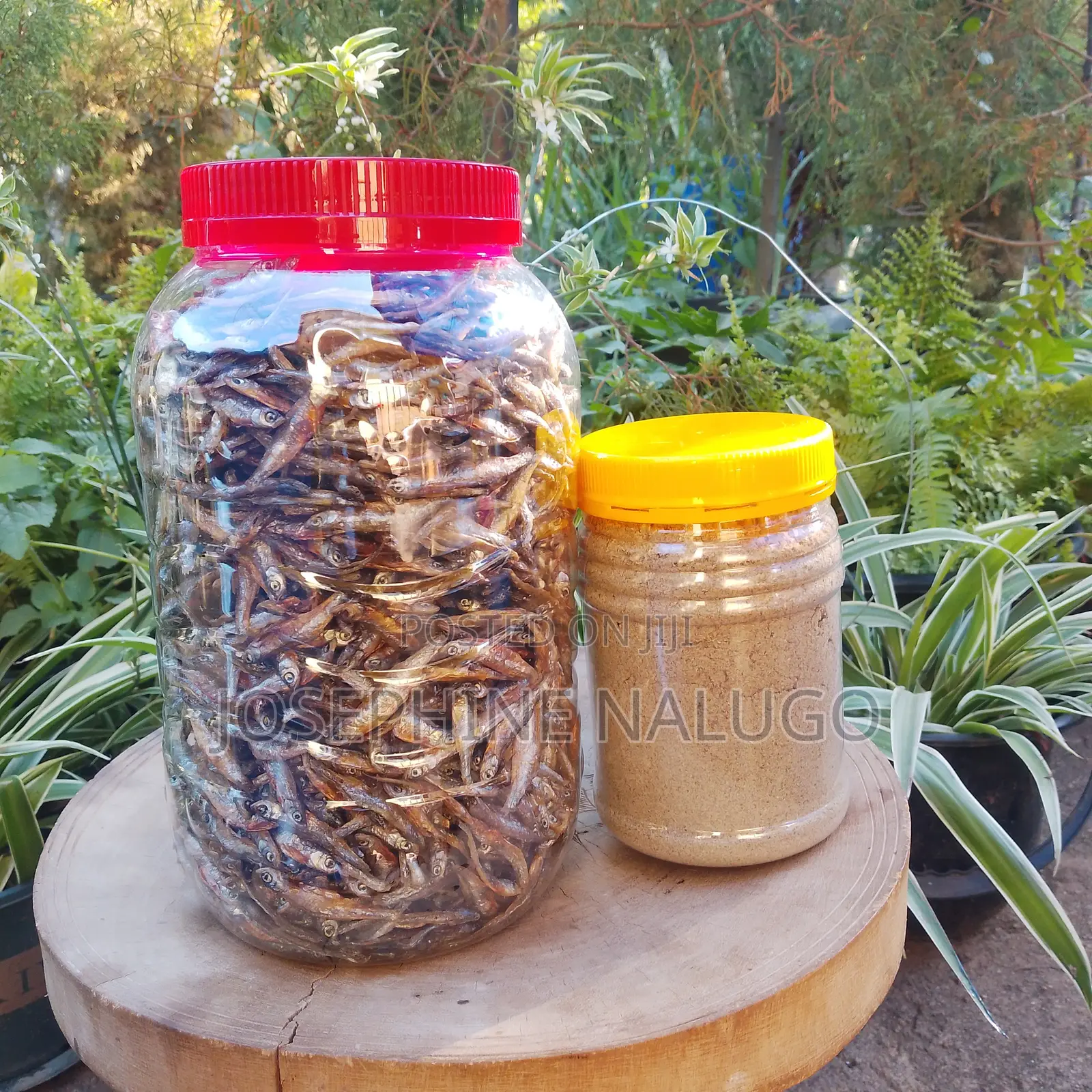 Sand Free Powdered and Fried Mukene