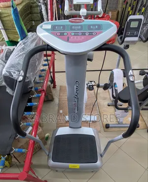 Crazy Full Body Vibration Massage Machine