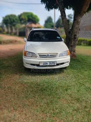 Toyota Ipsum 1999 White