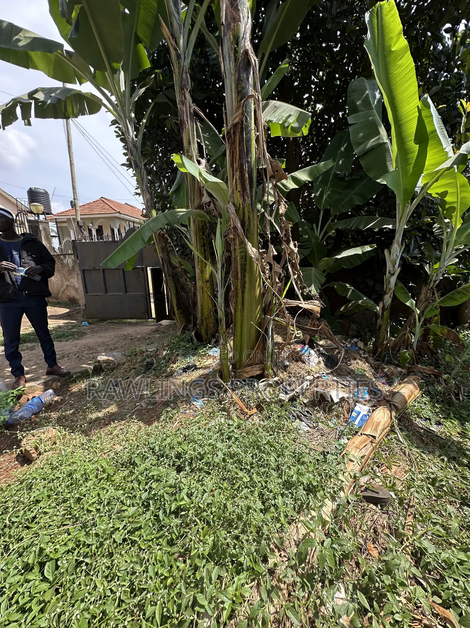 16 Decimal Plot for Sale in Kabalagala