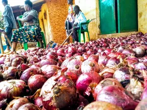 Dry Onions at Kamu Market, Elgon-Bulambuli District Uganda