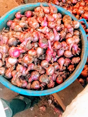 Dry Onions at Kamu Market, Elgon-Bulambuli District Uganda