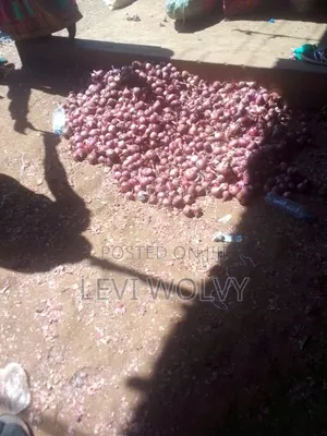 Dry Onions at Kamu Market, Elgon-Bulambuli District Uganda