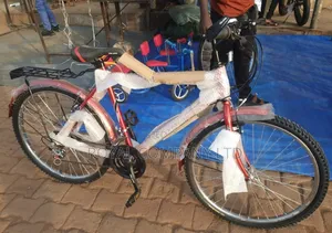 Adult Bikes 10yrs to 26yrs