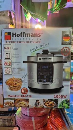 14in1 Hoffmans 6l Electric Pressure Cooker Deep Fryer With Basket, Pot